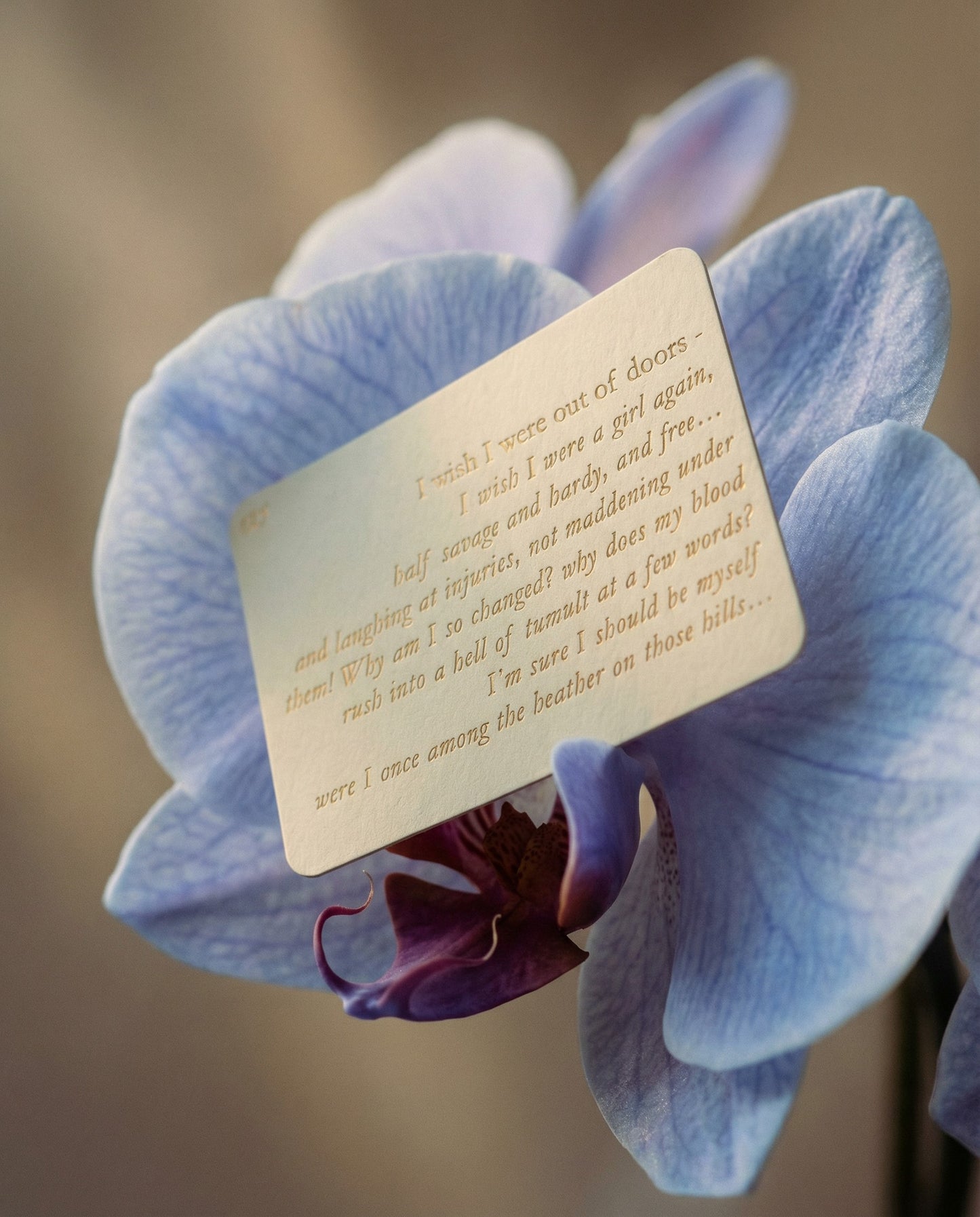 Wuthering Heights - The Luminous Edition Treasury