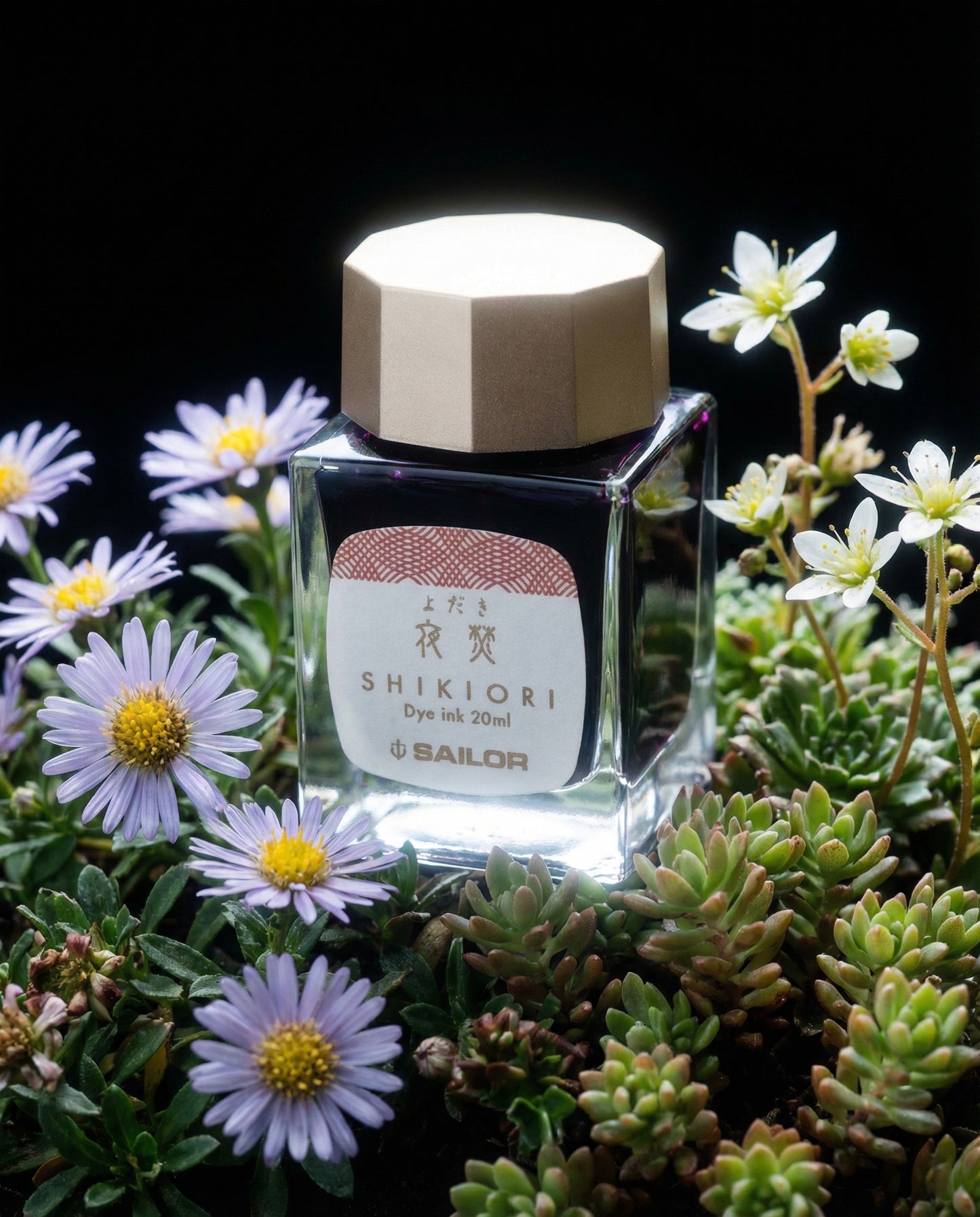 Wuthering Heights - The Luminous Edition Treasury