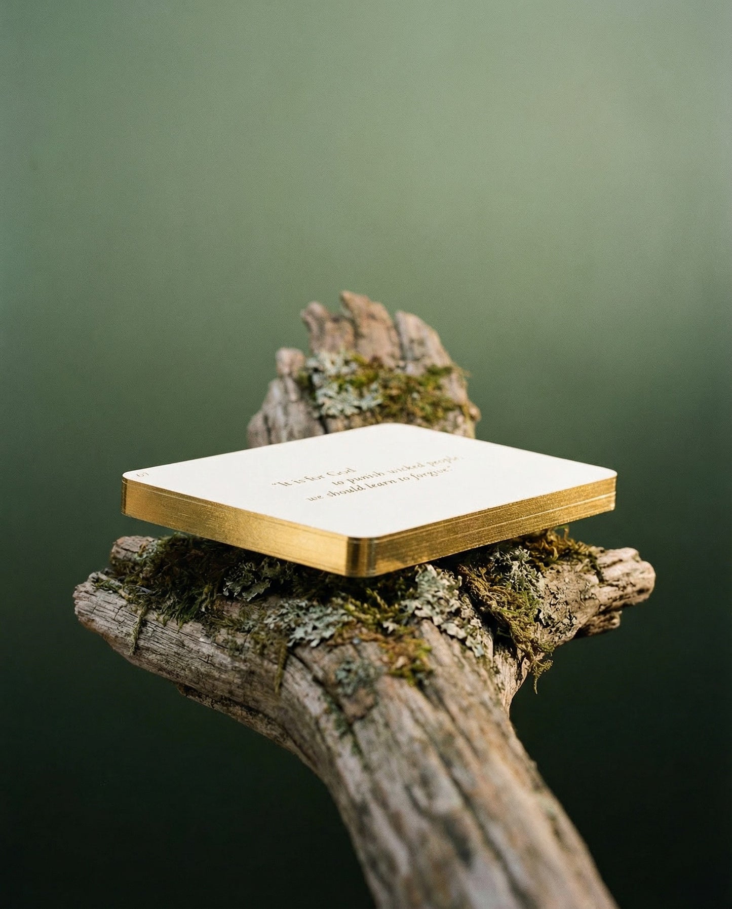 Wuthering Heights - The Luminous Edition Treasury