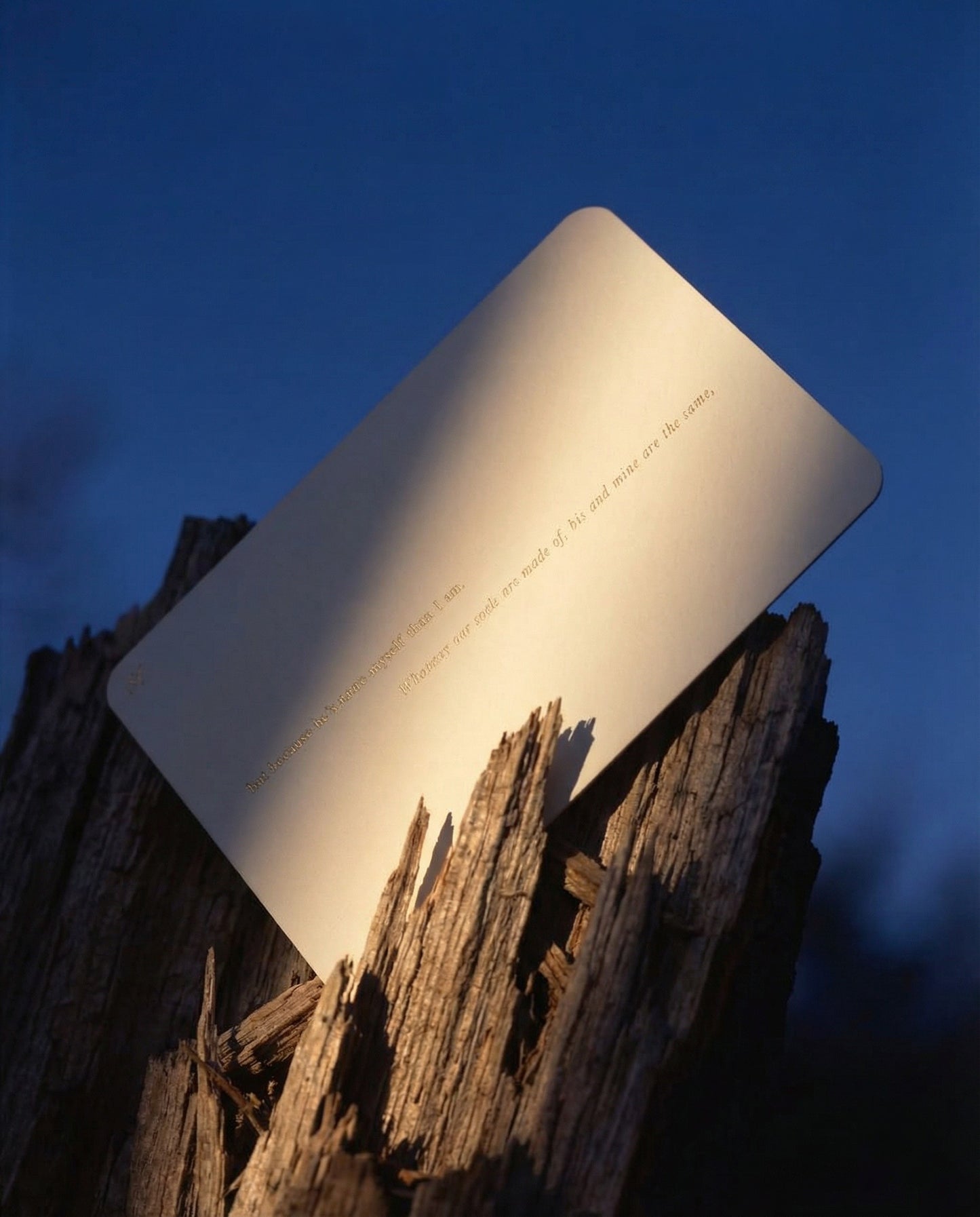 Wuthering Heights - The Luminous Edition Treasury